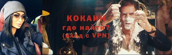 кокс Белокуриха