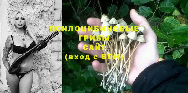 дурь Беломорск