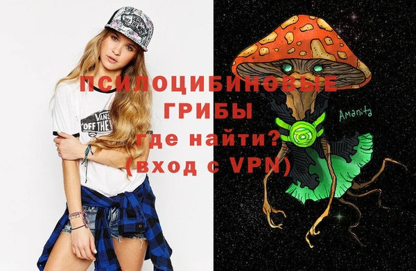 кокс Белокуриха